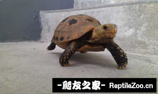 014338wmghwb9qdm36xuhg.jpg