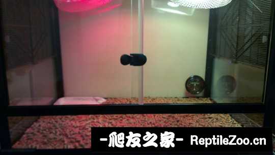 014457ac6vcuq6jvc9ksom.jpg