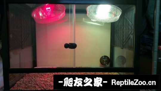 014457qt9t3dvd1220d11j.jpg