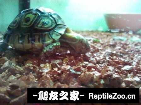 014817xrzkh71amhldvhk7.jpg