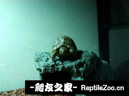 014819ibo2m07ao2omww30.jpg