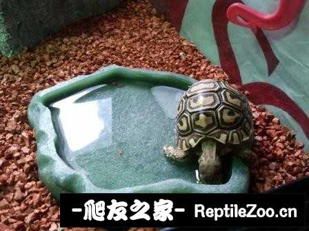 014819unwriliy00034rny.jpg