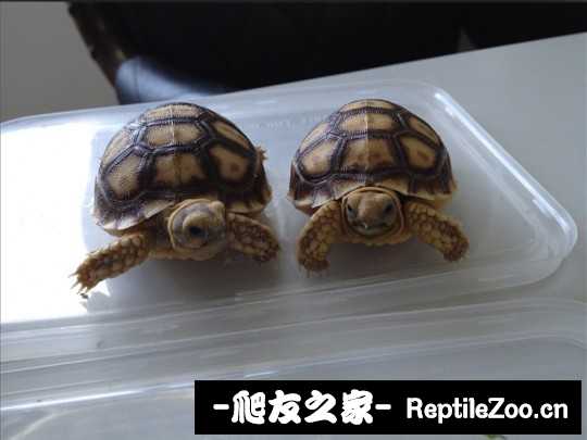 015028jqqzypopxlj5qqj5.jpg
