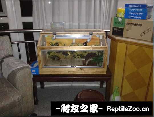 015029qwdx23332e0vxfx3.jpg