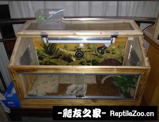 015030mghnjzyo3gmmjec3.jpg