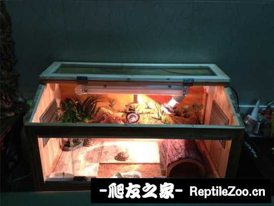 015031wb2q4hxphb8pdq6d.jpg