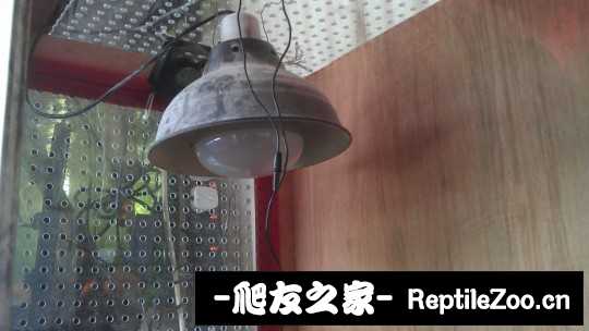 015044fgoao34t7vaa7031.jpg