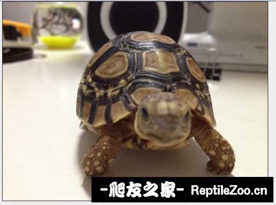 015056t7kk6it6su7xhkkk.jpg