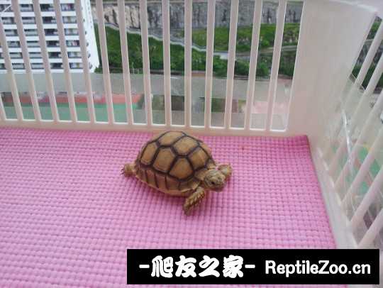 015318v3f8o3o6o8q3oh3u.jpg