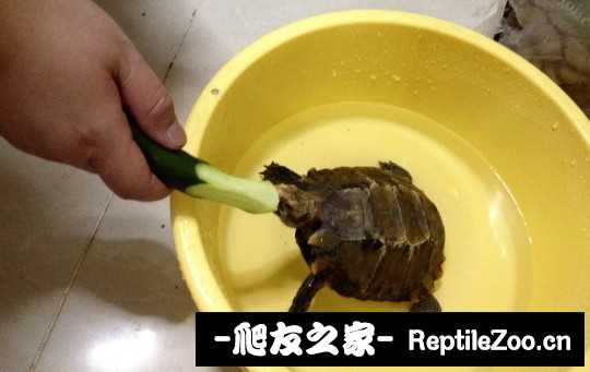 015522wcg5fgxbf85g8gxo.jpg