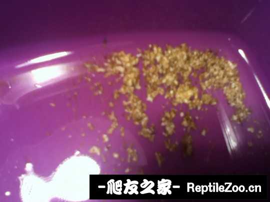 030140dlkaekell8atdeld.jpg