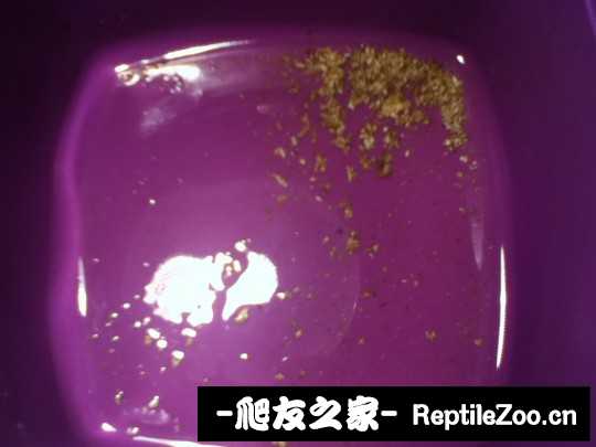 030141xkkrrjypjrcpccyr.jpg