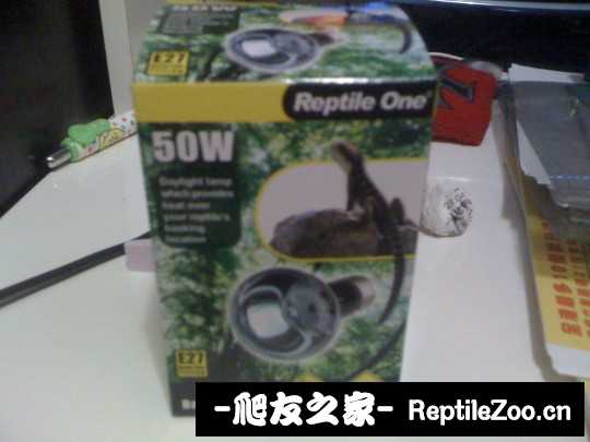 030229qcouunash5zx5udz.jpg