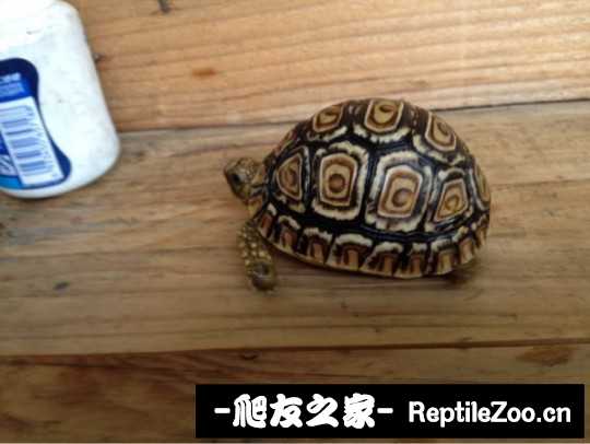 030322n5i4b0cbfxi5buzh.jpg