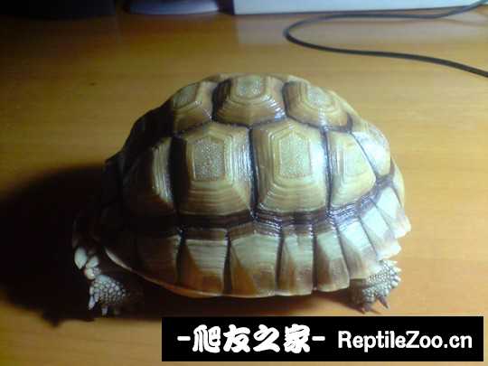 030551cgnwffn5f8a6n40j.jpg