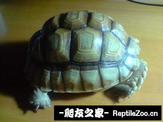 030551hb148pp1juz9pv6j.jpg