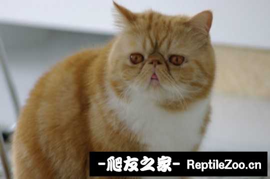 030707m4z78baapohdwwkt.jpg