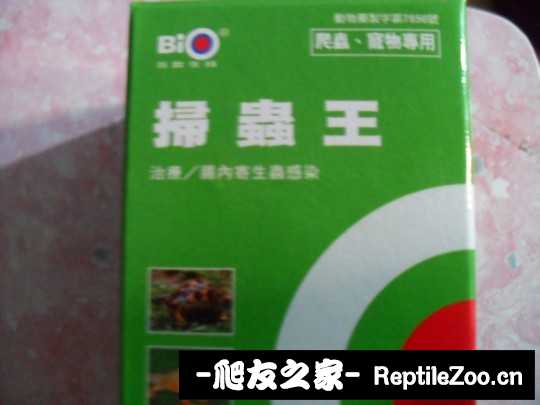 030720ntyryy5ss2zbtdcs.jpg