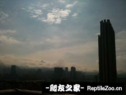 030834a8q7ry0764cn7nb6.jpg