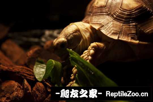 030908yv2q2q1qv2m48zvf.jpg