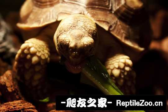 030909w0j7892aj26rbj7g.jpg