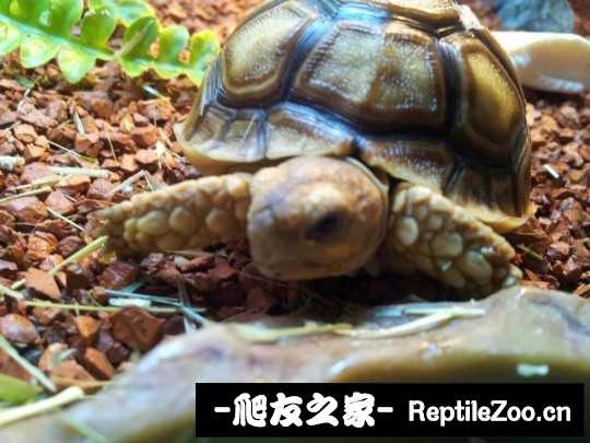 030927g9skupshzbuwslbz.jpg