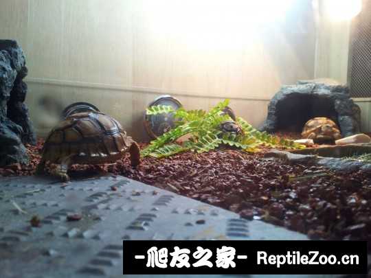 030928kutlhxlefllanfqo.jpg