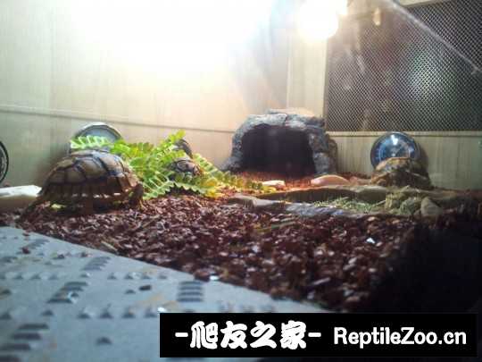 030929han6r60kh9n36j6w.jpg