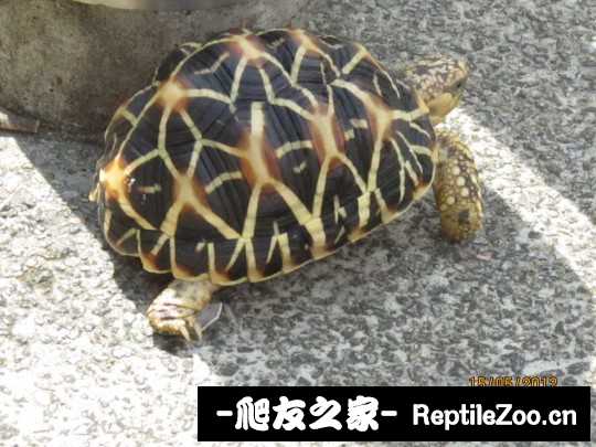 031235luuvzyzjh0gzdg44.jpg