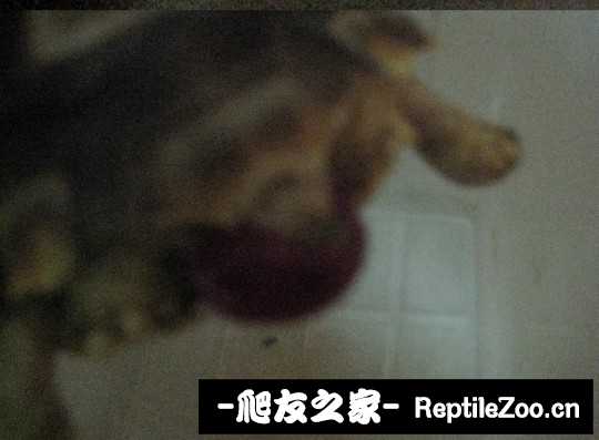 031456a8e46yy66ybouyff.jpg