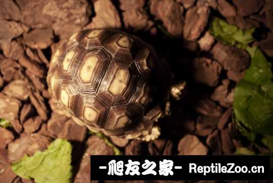 031524hz3n6n0h05b55bni.jpg
