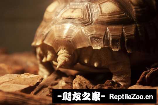 031524r9dx3mlzr1kkimda.jpg