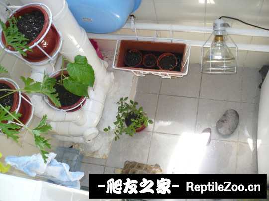 031700crfsq8zs4swzt740.jpg