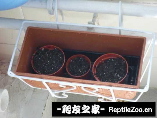 031701ws79n9d9a7dzdask.jpg