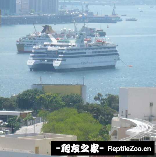031702dpmizmbf1gpmigcm.jpg