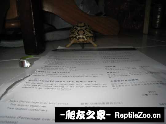 031713yjdjb699bfdbg6jp.jpg