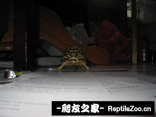 031713zom50mcgcgo5lkbg.jpg