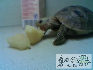 031741e1nmeswnbunwipix.jpg