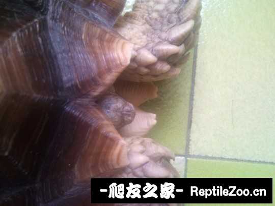 042020dh22uimami63iim6.jpg