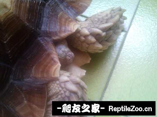 042020winiw707ca0pipti.jpg
