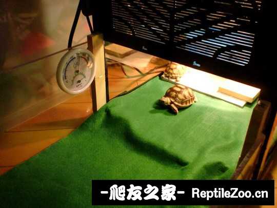 042037yui0ug00m8epis60.jpg