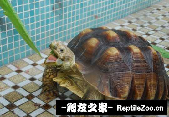 042057r78a74j4z832crz1.jpg