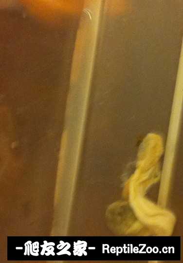 043013wqt9cnvn65qv0qyr.jpg