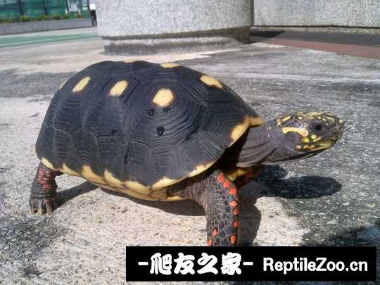 043303aj5hy157fmqj7q1m.jpg