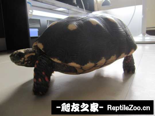 043305imgfzhehg9layapz.jpg