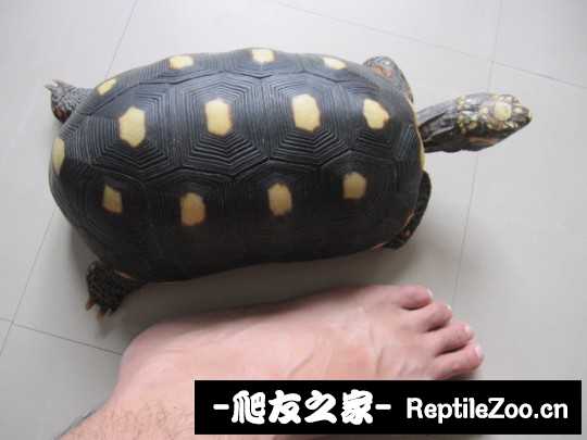 043306n60pcv091o9o5po2.jpg