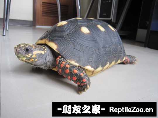 043307np0cvnw1wp1oy5ew.jpg