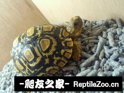 043409fpymtmdmjj7zoydh.jpg