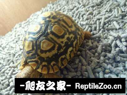 043409l5547ucz69jz9cvy.jpg