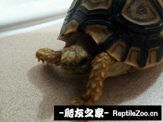 043706rr9ev9p9i1m5ozi9.jpg